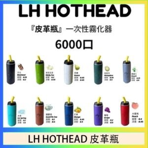 LH HOTHEAD皮革瓶電子煙可充電6000口一次性