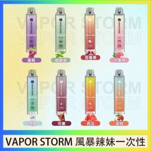 VAPOR STORM風暴辣妹一次性主機充電7500口（5%）