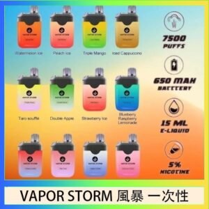 Vapor Storm風暴電子煙7500口(5%)一次性